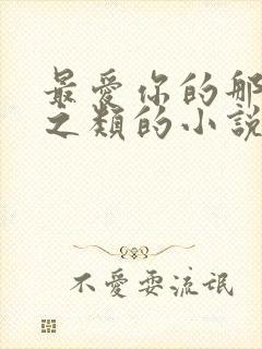 最爱你的那十年之类的小说