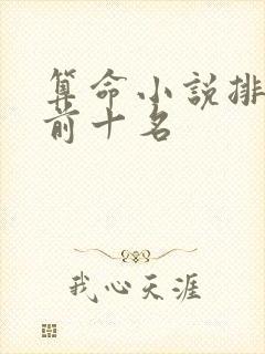 算命小说排行榜前十名