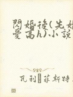 闪婚后(先婚后爱高h)小说