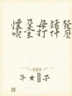 怀孕母猪发热不吃食打什么针好