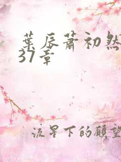 叶辰萧初然5037章