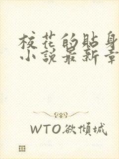 校花的贴身高手小说最新章节在线