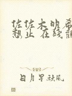 佐佐木明希 母想止 在线观看