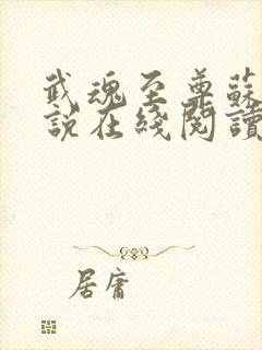 武魂至尊苏莫小说在线阅读