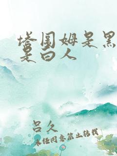 塔图姆是黑人还是白人