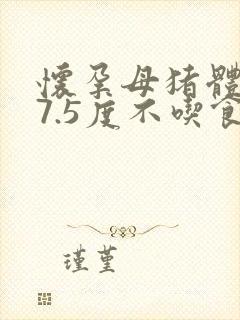 怀孕母猪体温37.5度不吃食怎么办