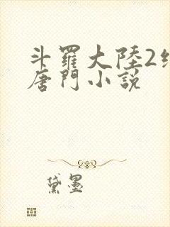 斗罗大陆2绝世唐门小说