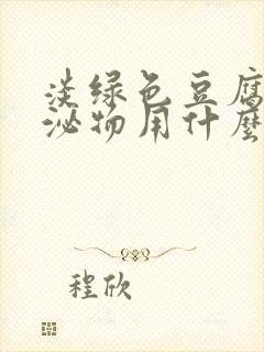 淡绿色豆腐渣分泌物用什么药