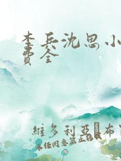 李兵沈思小说免费全