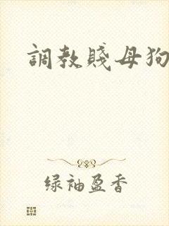 调教贱母狗妈妈