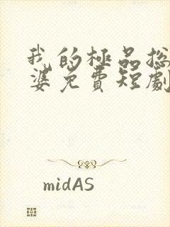 我的极品总裁老婆免费短剧