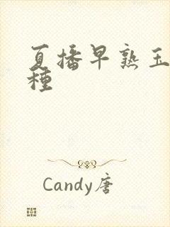 夏播早熟玉米品种