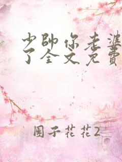 少帅你老婆又跑了全文免费阅读