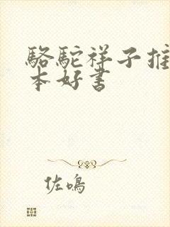 骆驼祥子推荐一本好书