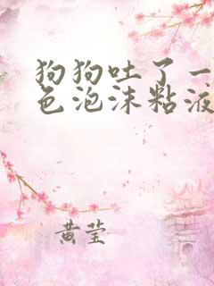 狗狗吐了一滩黄色泡沫粘液