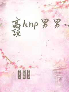 高hnp男男小说