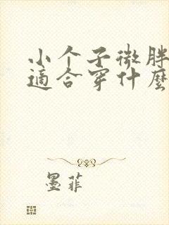 小个子微胖女生适合穿什么裙子