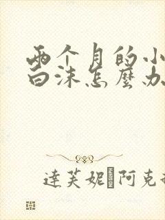 两个月的小狗吐白沫怎么办