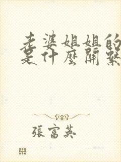 老婆姐姐的老公是什么关系