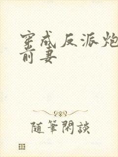 穿成反派炮灰的前妻