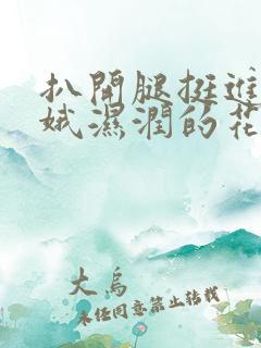 扒开腿挺进娄晓娥湿润的花苞小说