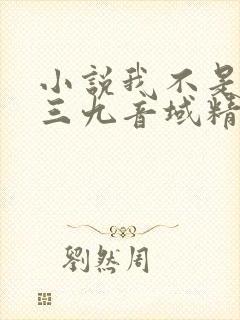 小说我不是戏神三九音域精校版