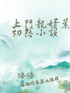 上门龙婿叶辰萧初然小说