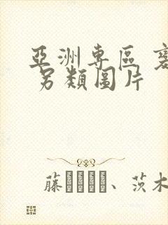 亚洲专区 变态 另类图片