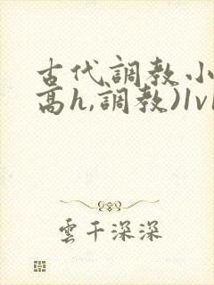 古代调教小说(高h,调教)1v1