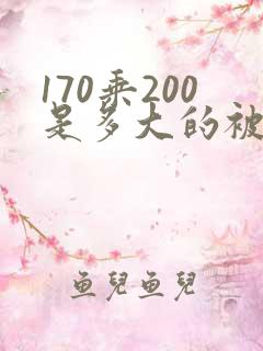 170乘200是多大的被子