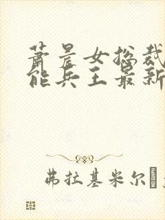 萧晨女总裁的全能兵王最新章节