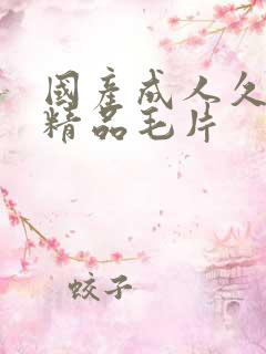 国产成人久久久精品毛片