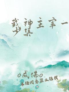 武神主宰一共多少集
