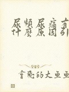 尿频尿痛有点血什么原因引起的