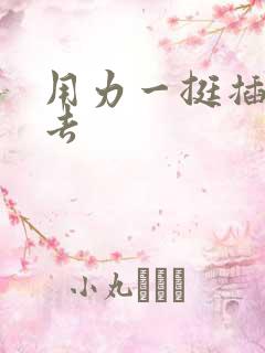 用力一挺插了进去