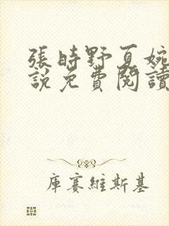 张时野夏婉央小说免费阅读笔趣阁