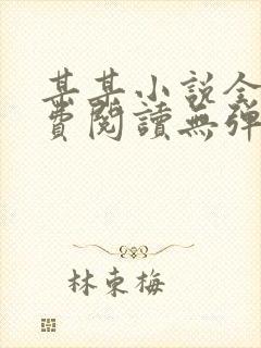 某某小说全文免费阅读无弹窗