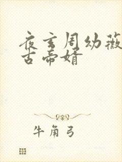 夜玄周幼薇 万古帝婿