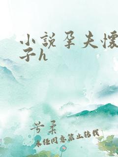 小说孕夫怀孕产子h