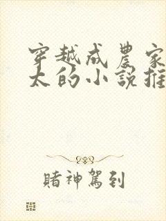 穿越成农家老太太的小说推荐