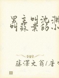 男主叫沈渊女主叫苏棠的小说