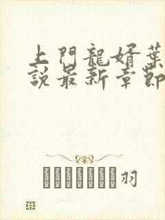 上门龙婿叶辰小说最新章节