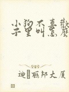 小狗不喜欢在笼子里叫怎么办