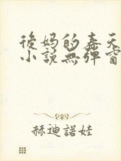 后妈的春天王磊小说无弹窗