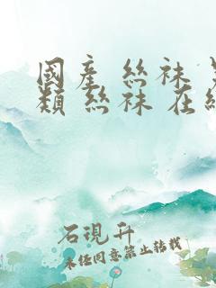 国产 丝袜 另类 丝袜 在线观看