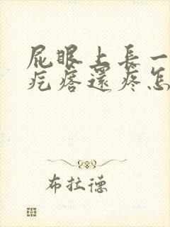 屁眼上长一个肉疙瘩还疼怎么回事