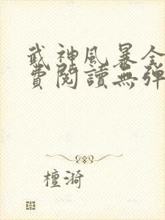 武神风暴全文免费阅读无弹窗笔趣阁