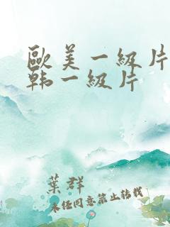 欧美一级片丶日韩一级片