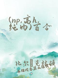 (np,高h,纯肉)百合