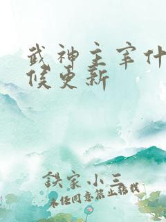 武神主宰什么时候更新